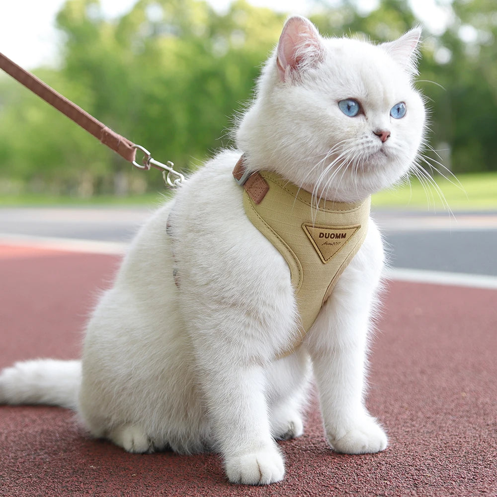 Cat belt