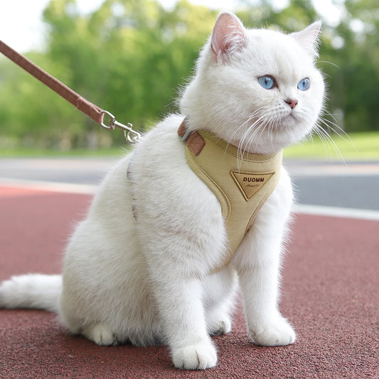 Cat belt
