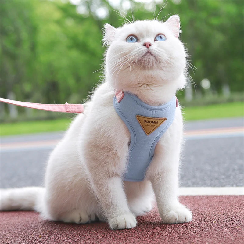 Cat belt