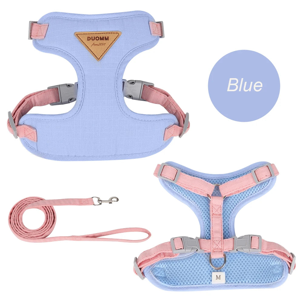 Cat belt