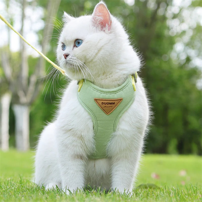 Cat belt