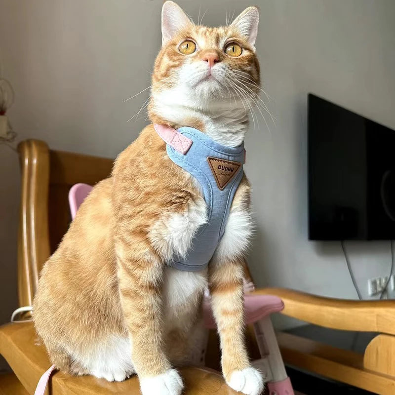 Cat belt