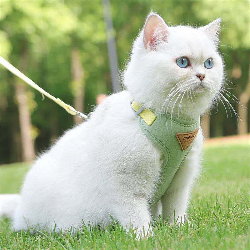 Cat belt