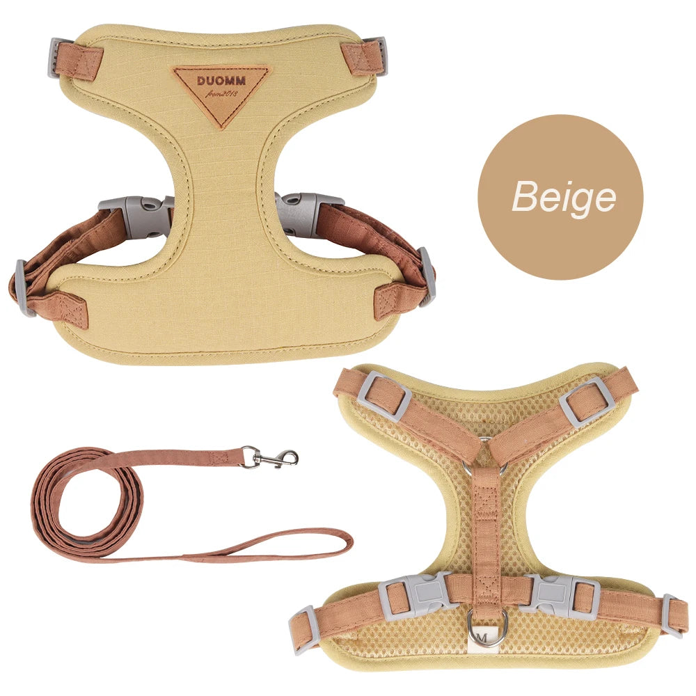 Cat belt